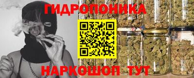 apvp Аргун