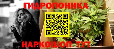 apvp Аргун