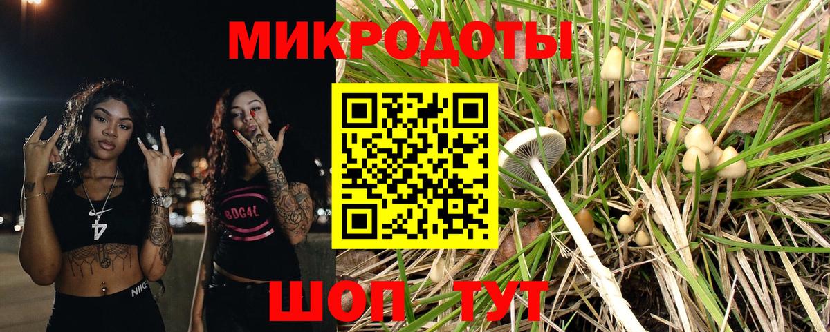 Вязники  Псилоцибиновые грибы мухоморы  Псилоцибиновые грибы мицелий  Вход с VPN 