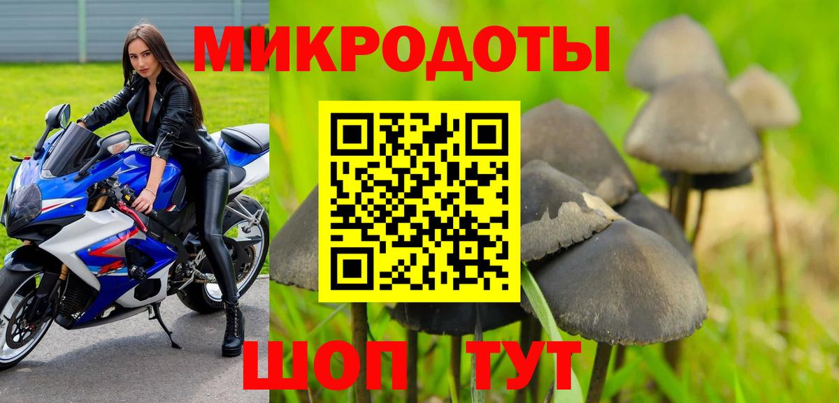 Галлюциногенные грибы Psilocybine cubensis Вязники